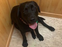 -半天妖烤鱼(芜湖市镜湖万达店)