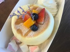 -狐狸和向日葵(北京路店)