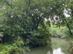 -西溪国家湿地公园