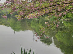-八卦田遗址公园