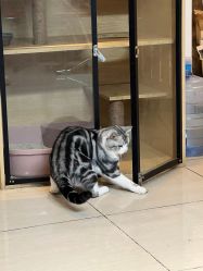 -长沙纹身·龙堂刺青·三土师傅的店