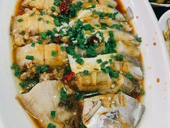 蒸龙头鱼豆腐鱼-红灯笼龙凤饭店(宁波老字号店)