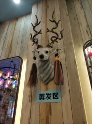 -韩鑫烫染接发·收长头发
