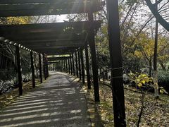 -九龙潭景区