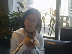 -百好乐宠物友好餐厅(朝外大街店)