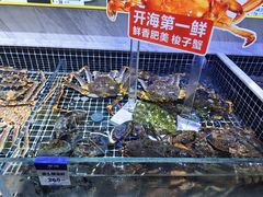 -开海·红岛海鲜虾水饺(石老人店)