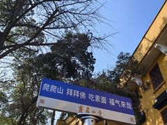 -灵岩山风景区