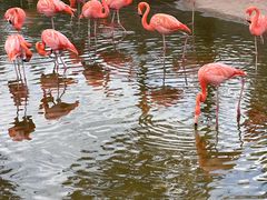 -鄂尔多斯野生动物园