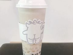 双蛋小皇椰（白屁屁）-茶力的小怪兽(梅林卓悦汇店)