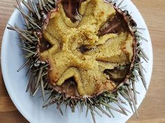 -海胆小馆(东北水饺·春柳店)