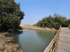 -沙家浜风景区