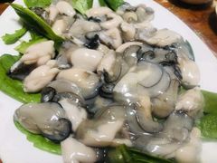 -金砂阿洲鱼册店
