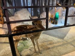 -酷嗒动物文化乐园(cutezoo西溪乐天城店)