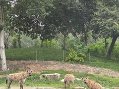 -北京野生动物园