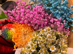 -双季花艺园艺市场(浦东店)