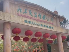 -广东茂名森林公园