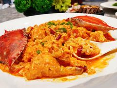 -连鹭海鲜·海肠捞饭·海胆饭(星海店)
