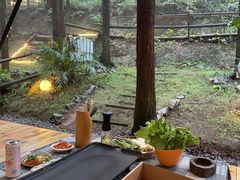 -南山植物园