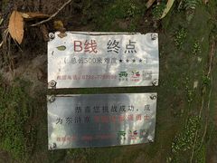 -修水东浒寨风景区