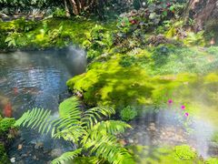 -Chom Cafe and Restaurant