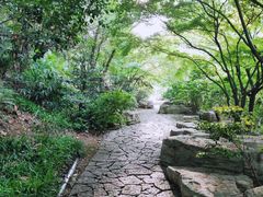 -习家池