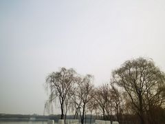 -大兴滨河森林公园