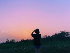 -白鹭湾湿地公园