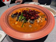 -柿合缘新京菜(国金中心商场店)