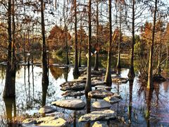 -上海长兴岛郊野公园