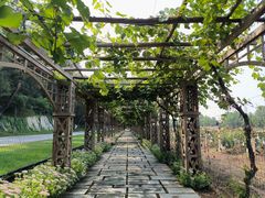 -北京张裕爱斐堡酒庄