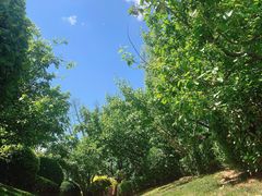 -中关村生命科学园