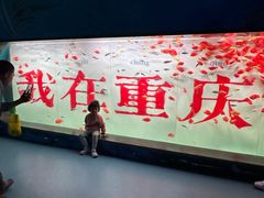 -重庆欢乐海底世界