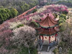 -开福禅寺