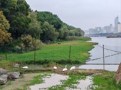 -南宁南湖公园