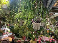 -朝来春花卉市场