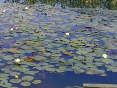 -济南国际园博园