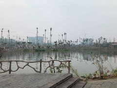 -枫香湖儿童公园