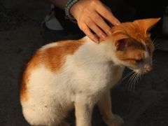 -赤坎老街