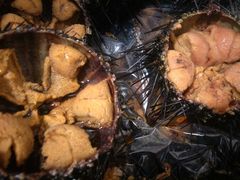 -渔码头食府(蓬莱阁店)