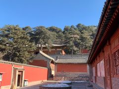 -大佛古寺