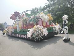 -荷兰花海