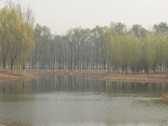 -东郊湿地公园