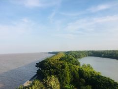 -大湾区中央湿地公园