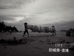 -万尾金滩