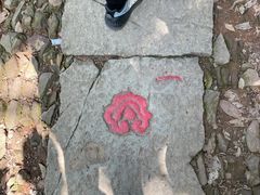 -西湖风景区十里琅珰-五云山