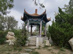-大港湿地公园