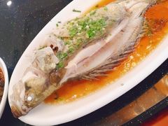 -古尚锦酒楼·水上餐厅