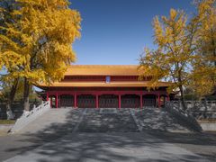 -灵谷景区