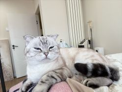 -沫儿·美甲美睫·半永久·皮肤管理