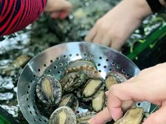 鲍鱼-渔人湾码头海鲜市场负二楼